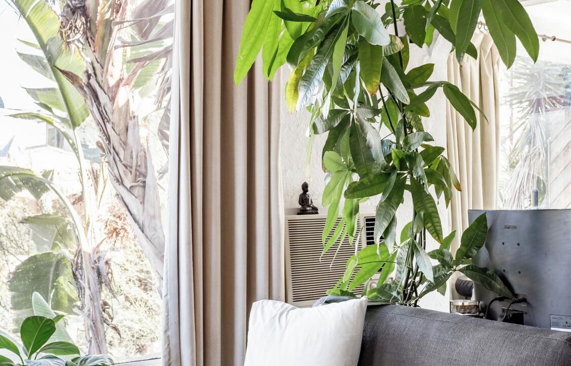 Photo of Livingroom in Sunset Junction
