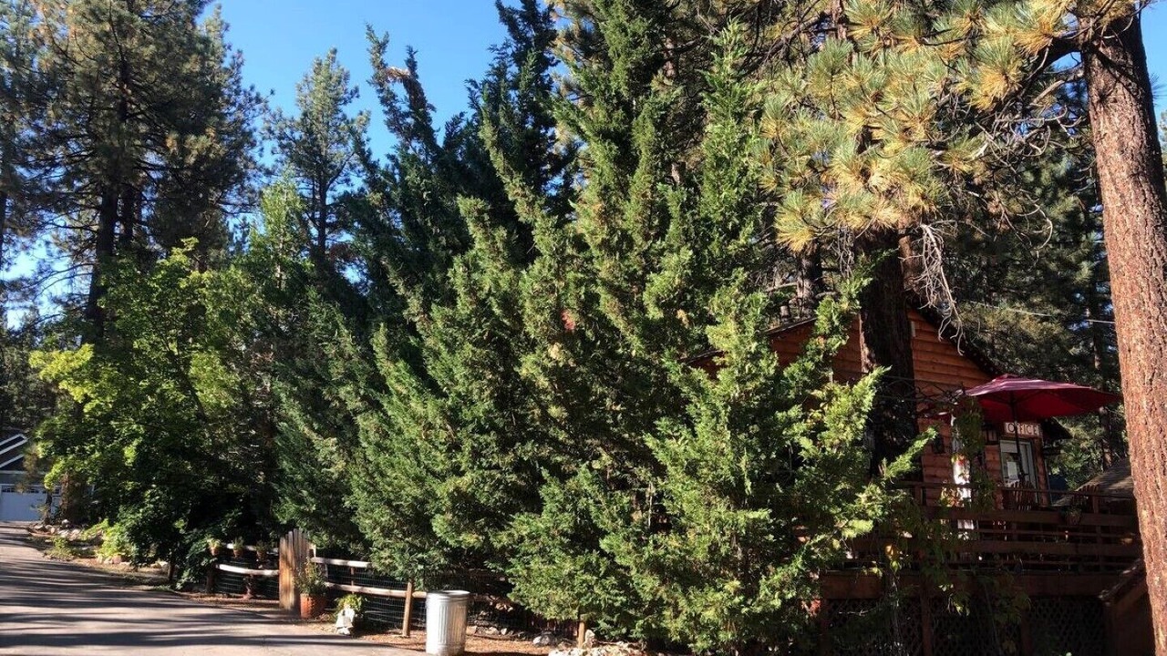 Photo of Outdoor in Big Bear Lake