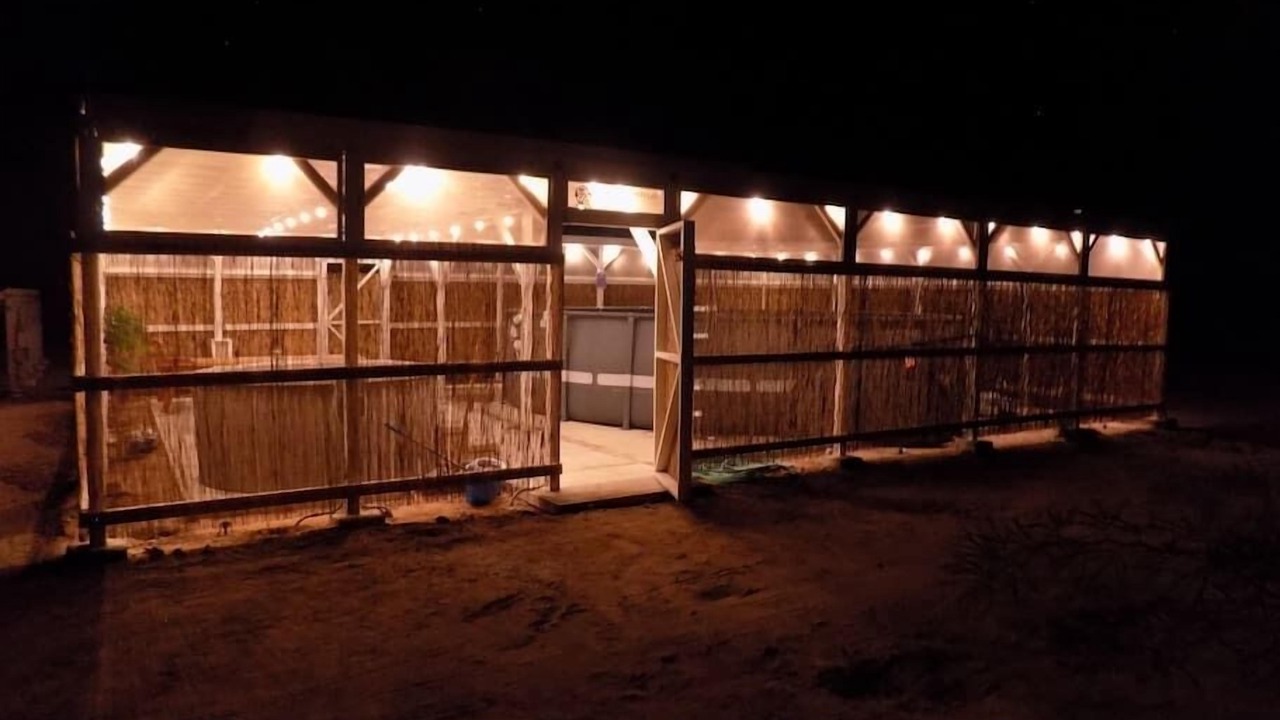 Photo of Outdoor in Wonder Valley
