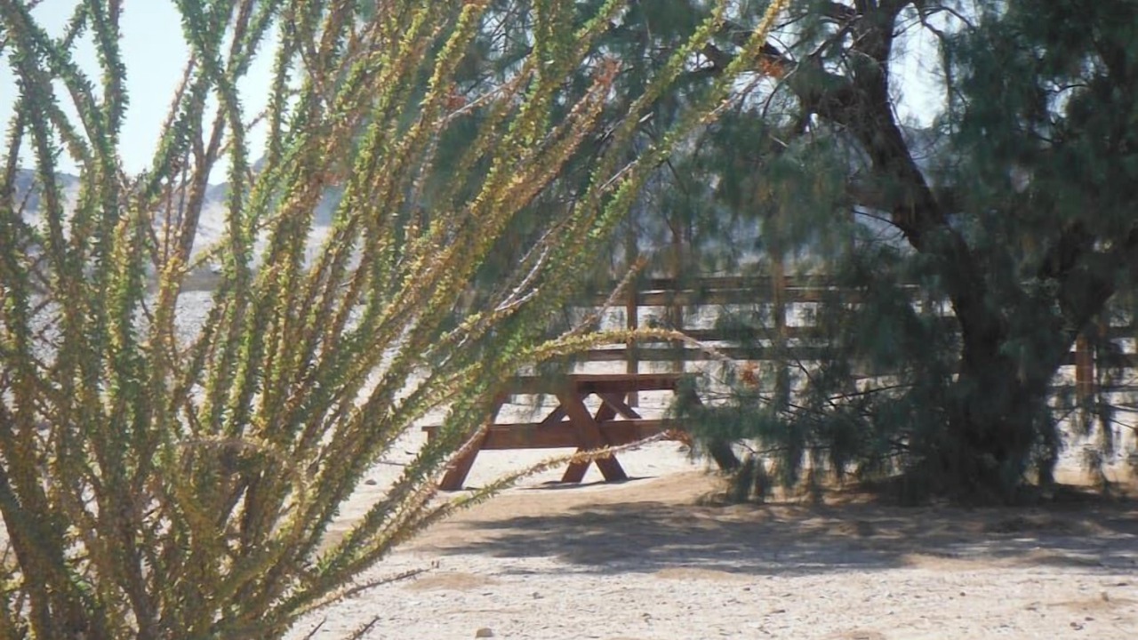 Photo of Others in Wonder Valley