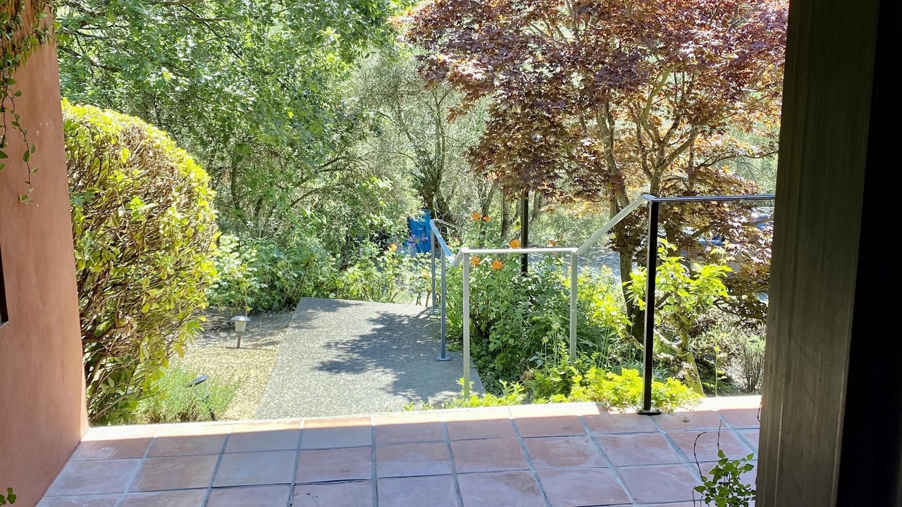 Photo of Others in St. Helena