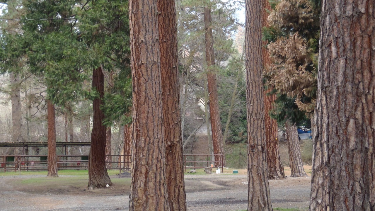 Photo of Others in California Hot Springs