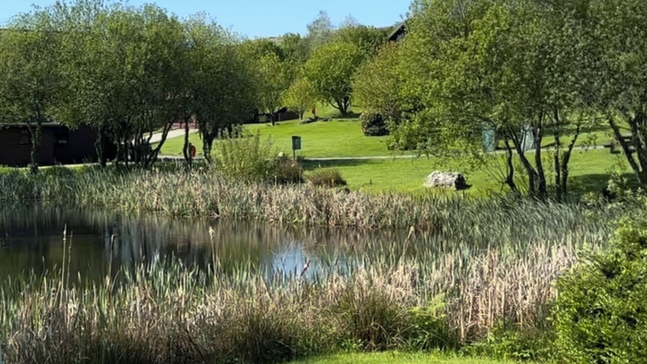 Photo of Outdoor in Winnard's Perch