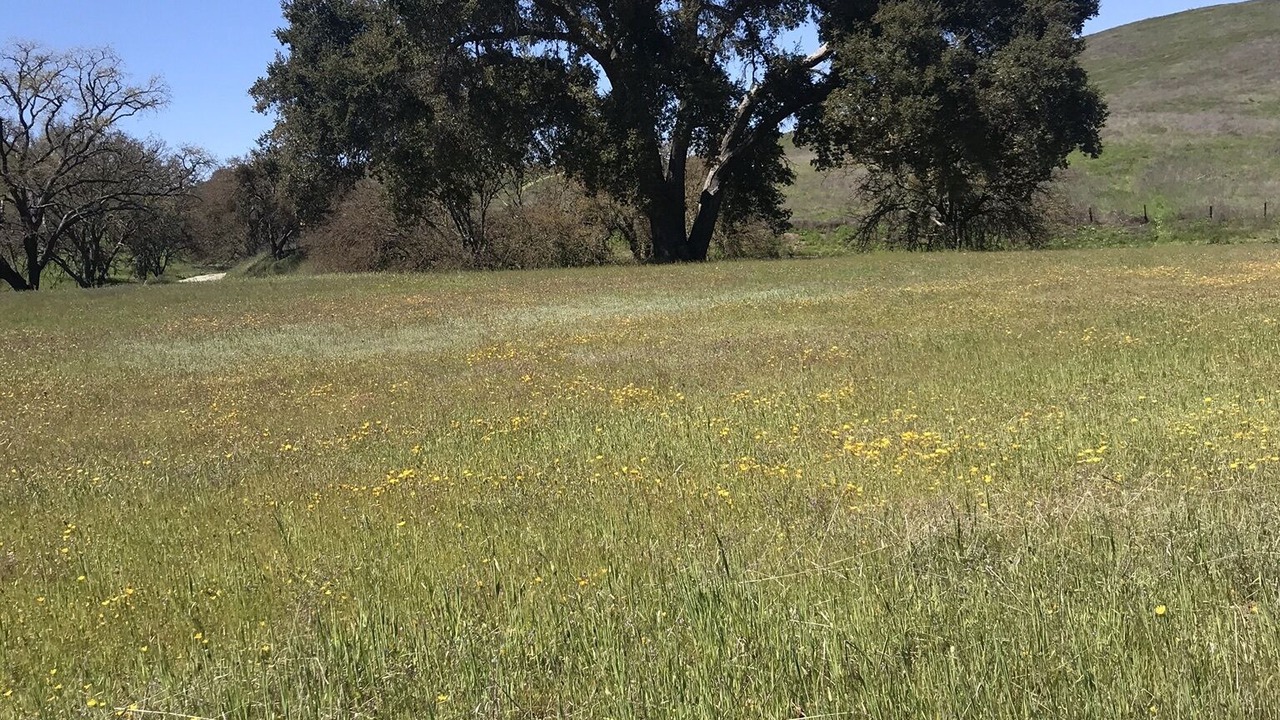 Photo of Others in Templeton