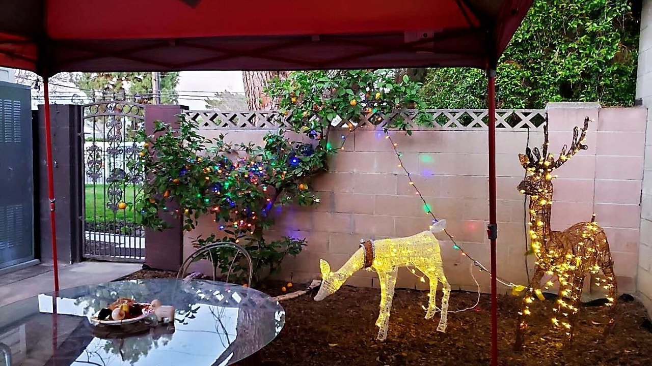 Photo of Outdoor in Walnut Valley
