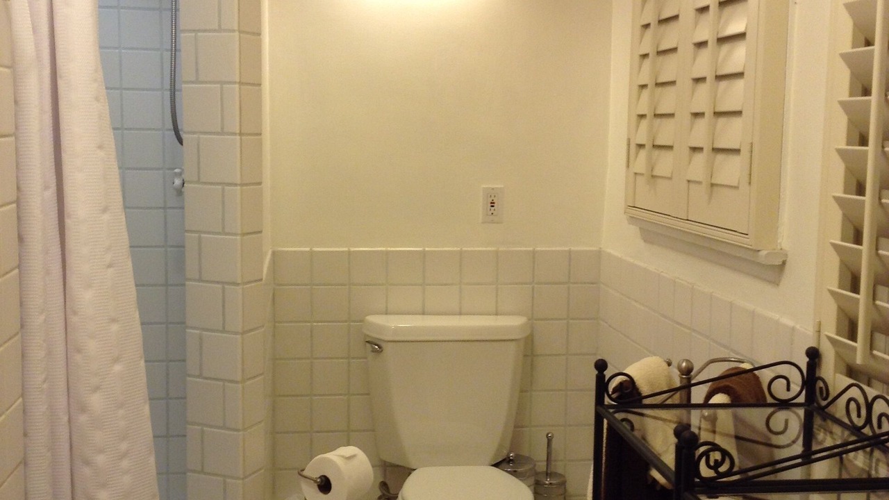 Photo of Bathroom in Beachwood Canyon