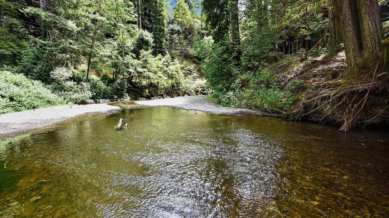 Photo of Others in Cazadero