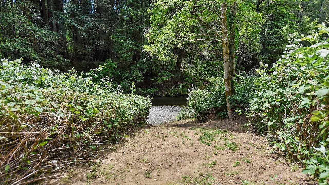 Photo of Others in Cazadero