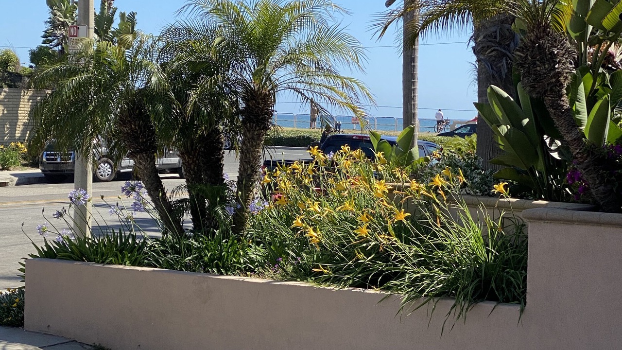 Photo of Others in Huntington Beach