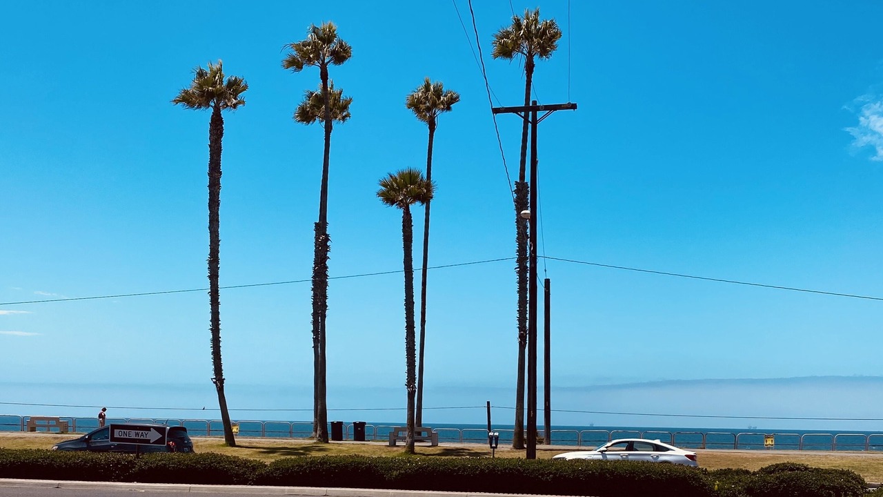 Photo of Others in Huntington Beach