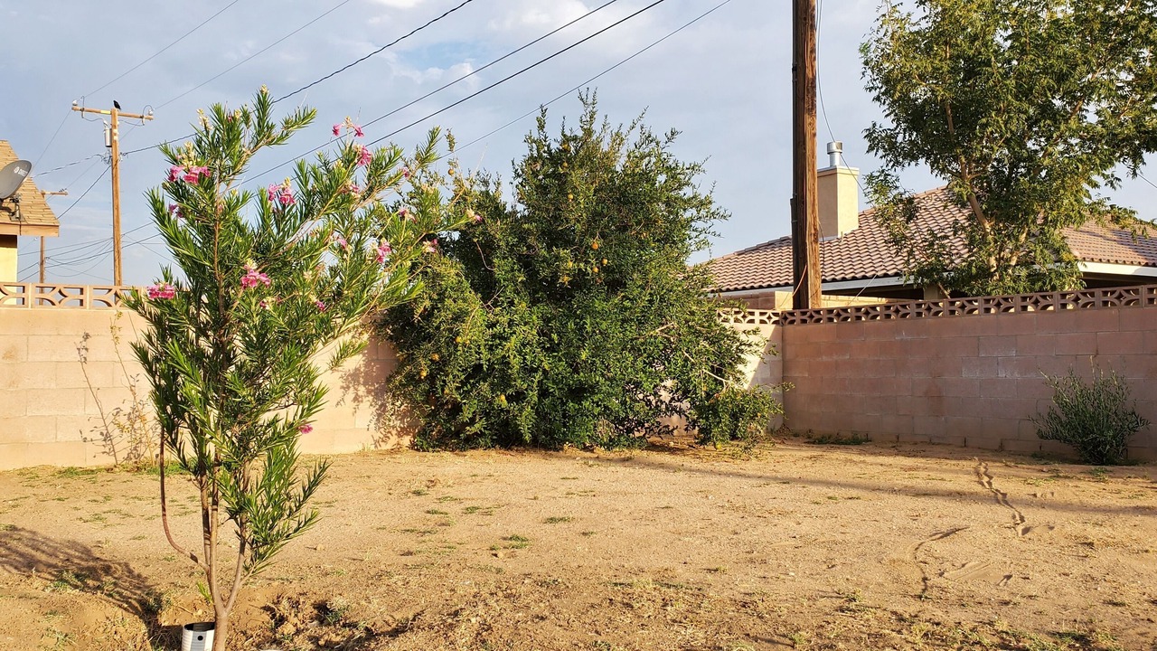 Photo of Outdoor in California City