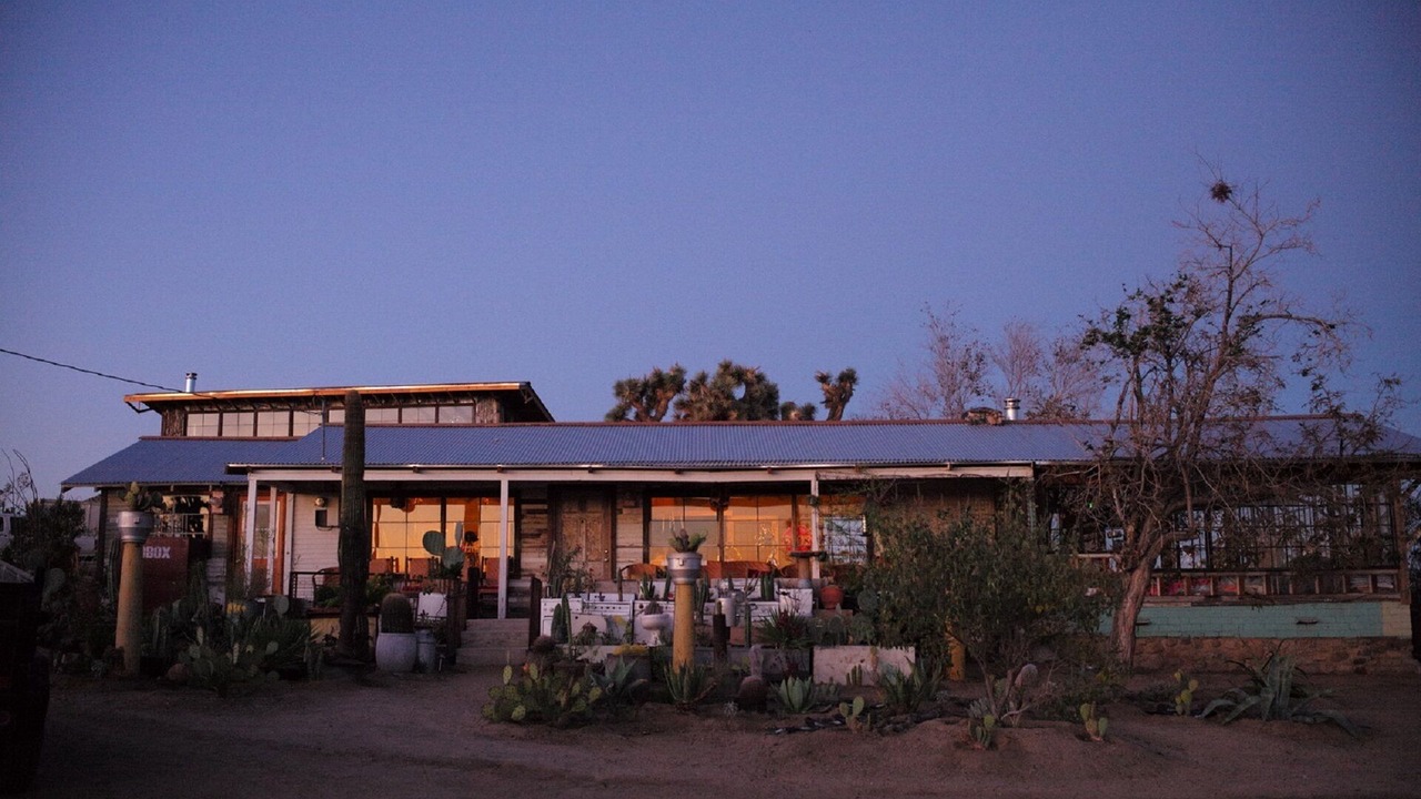 Photo of Others in Joshua Tree