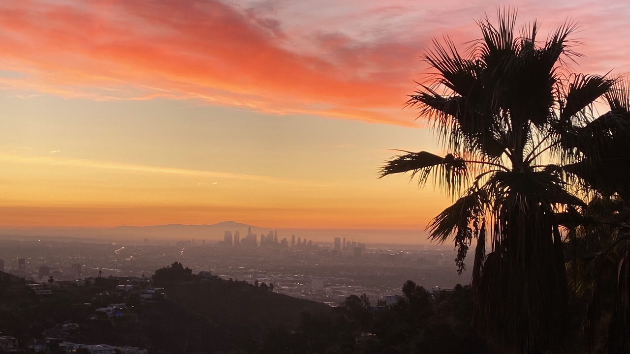 Photo of Others in Hollywood Hills West