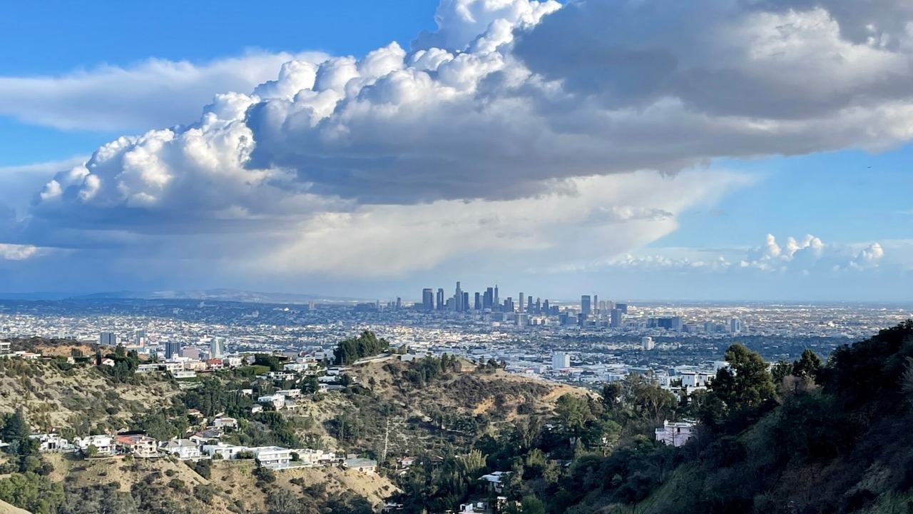 Photo of Others in Hollywood Hills West