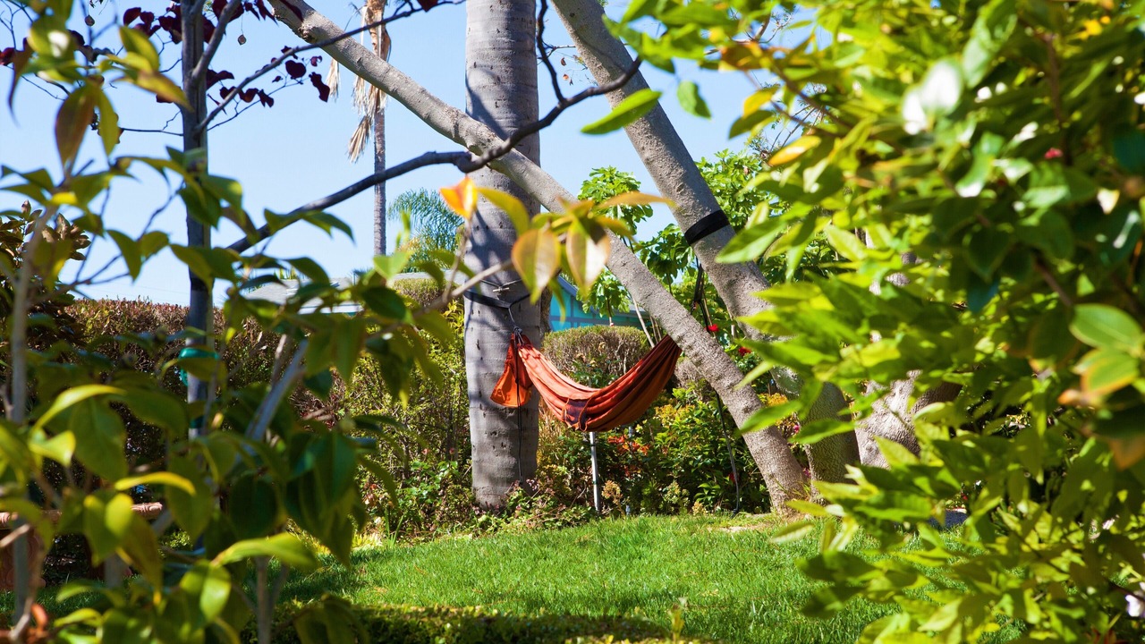 Photo of Outdoor in San Clemente