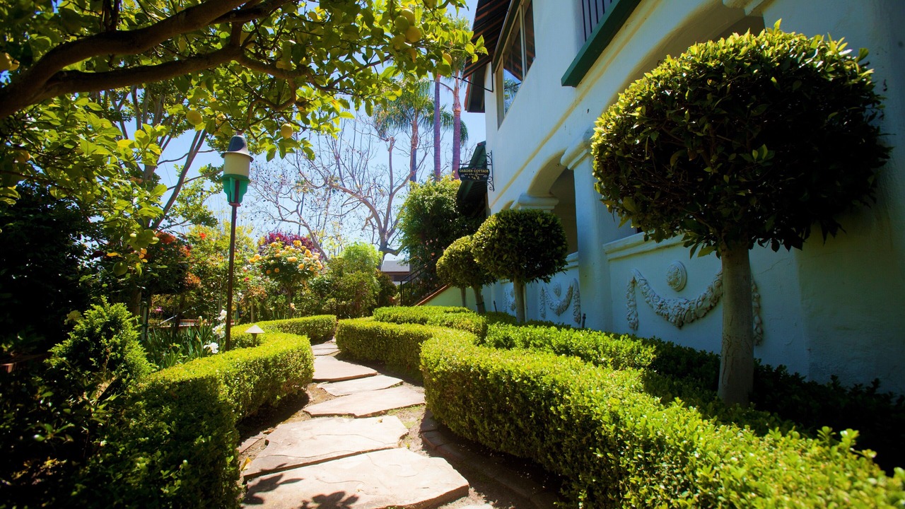 Photo of Outdoor in San Clemente