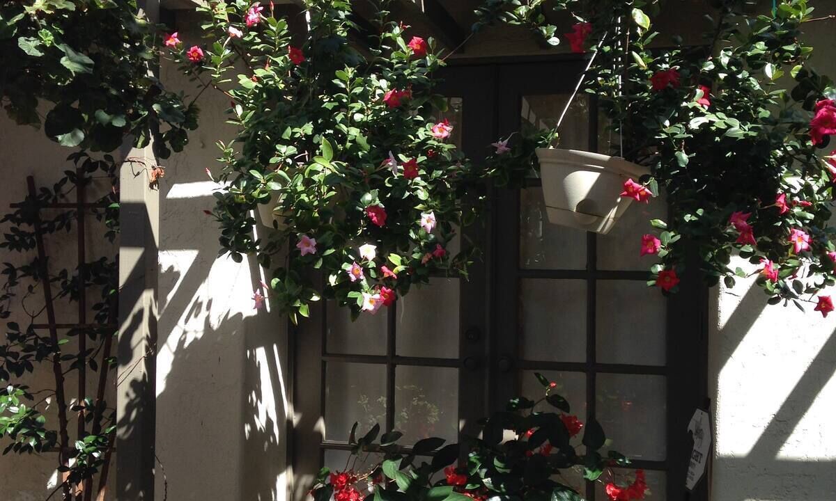 Photo of Outdoor in San Marcos