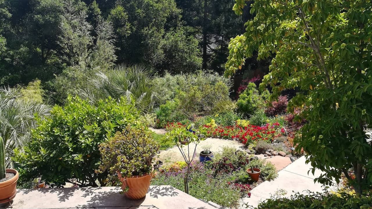 Photo of Outdoor in Aptos