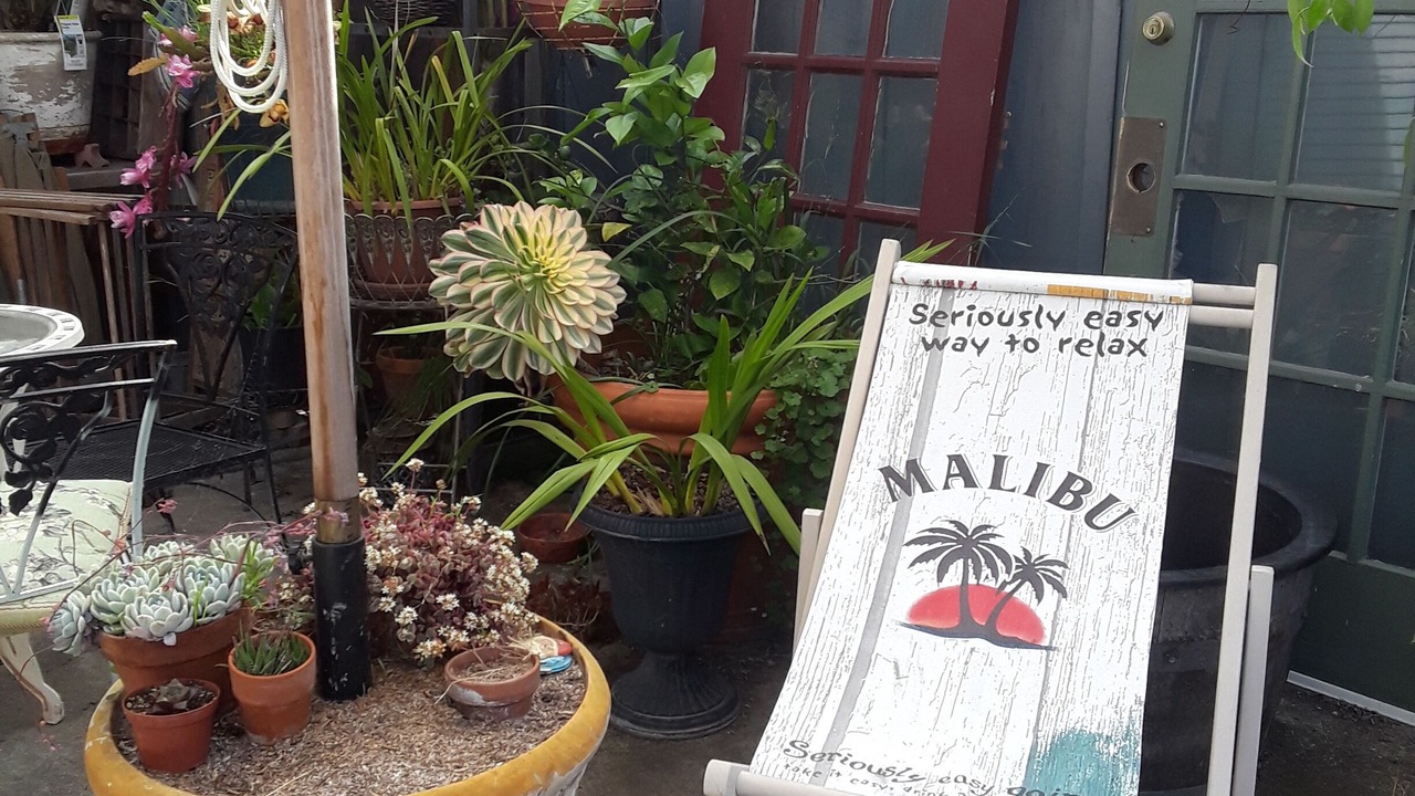 Photo of Others in Salinas