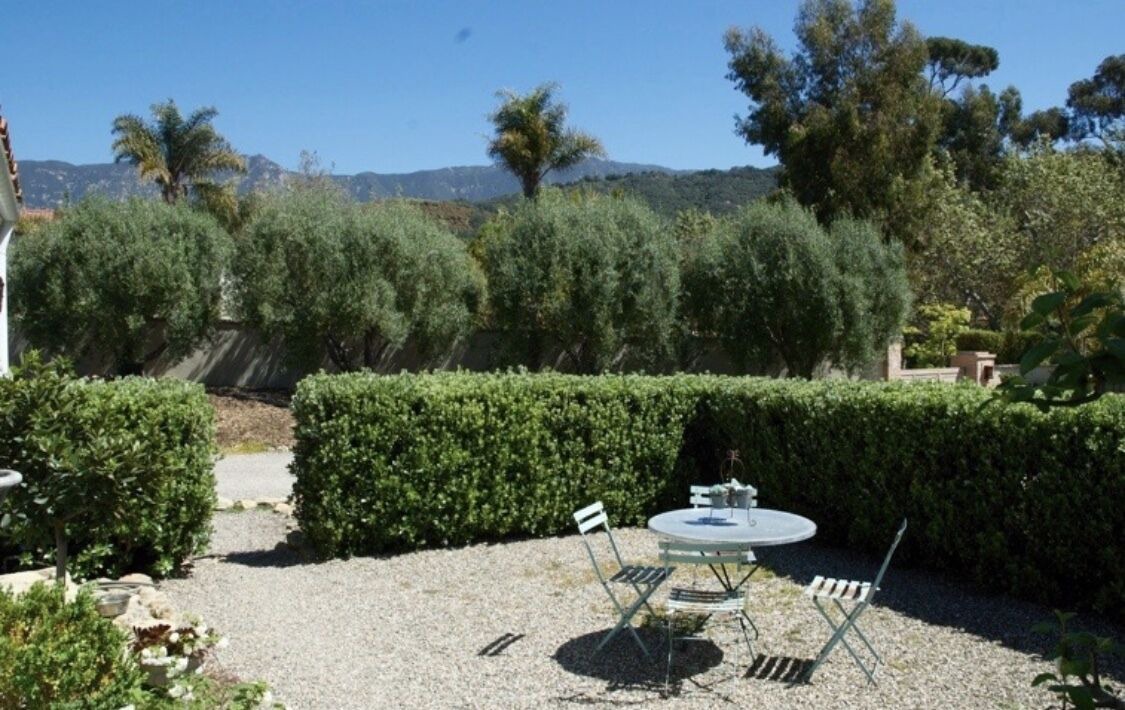 Photo of Outdoor in Toro Canyon