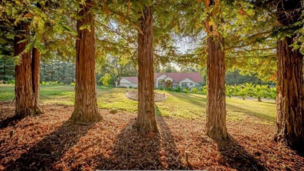 Photo of Outdoor in Loomis