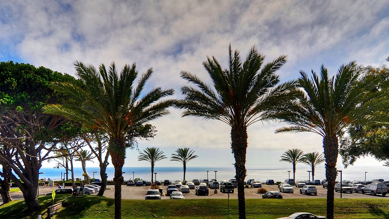 Photo of Others in Dana Point