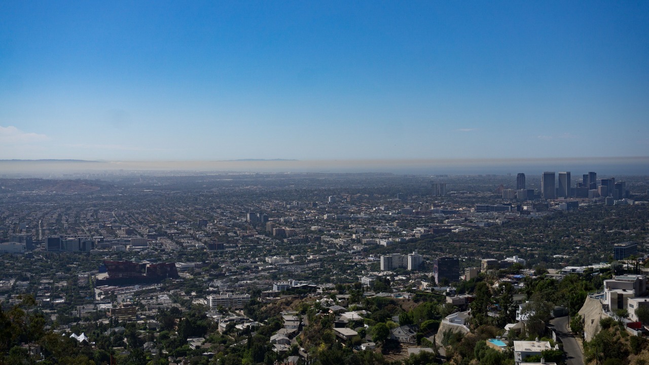 Photo of Others in Hollywood Hills West