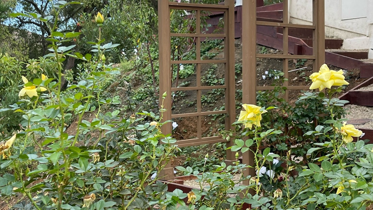 Photo of Outdoor in Gilroy