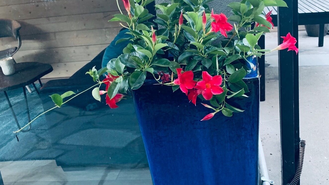 Photo of Outdoor in Westchester