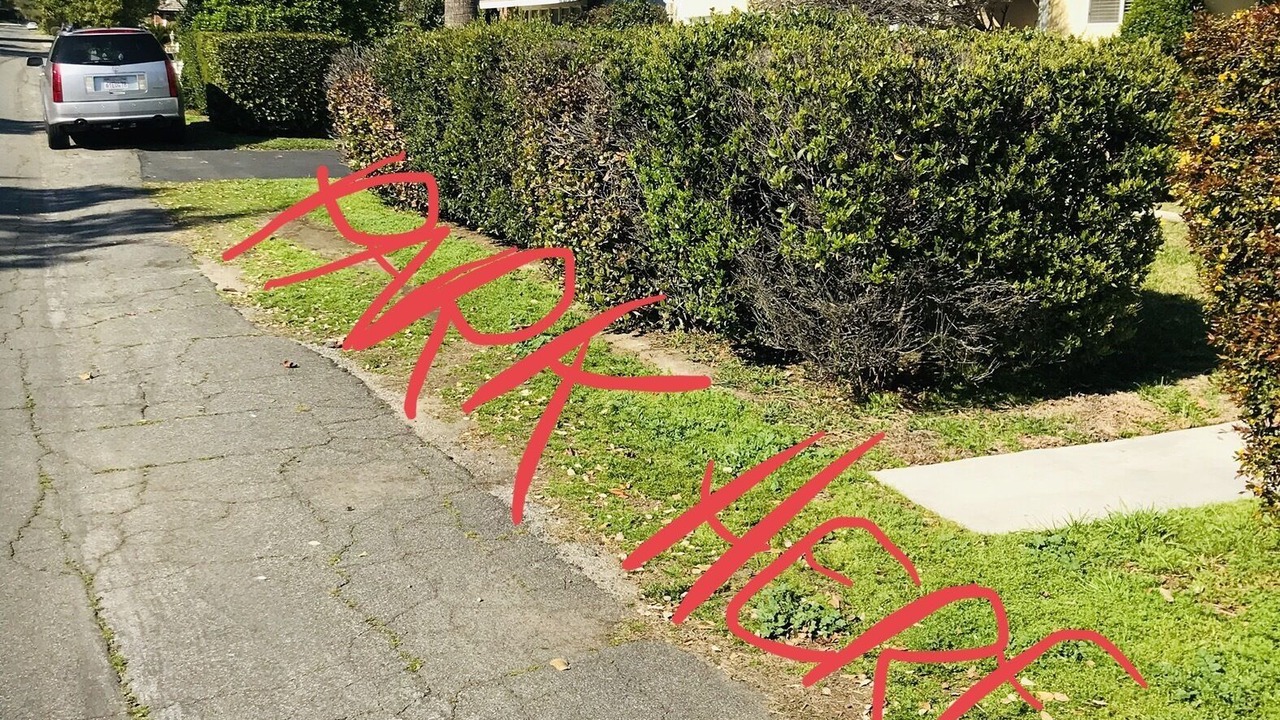 Photo of Outdoor in East San Gabriel