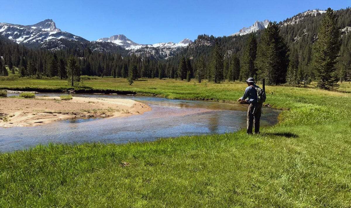 Photo of Others in Walker