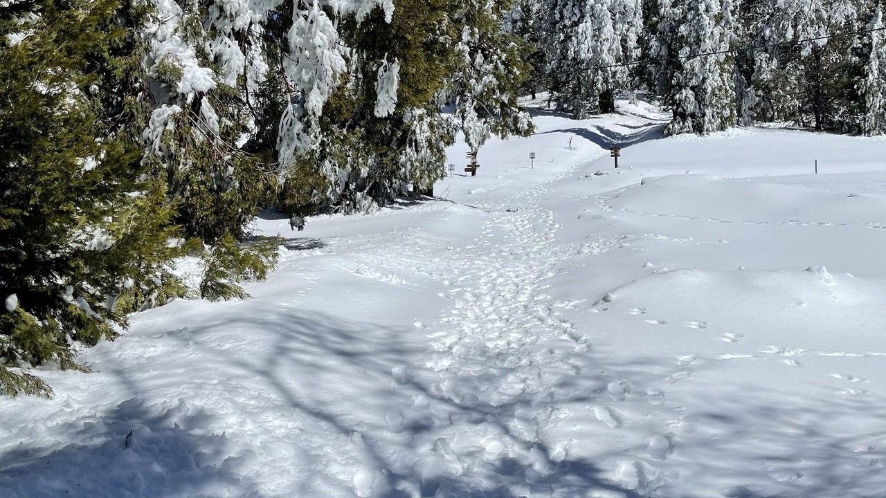 Photo of Others in Pauma Valley