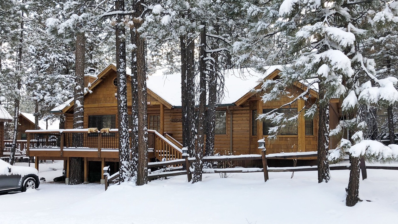Photo of Outdoor in Fox Farm