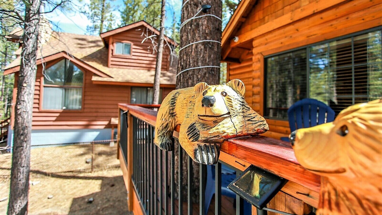 Photo of Outdoor in Fox Farm