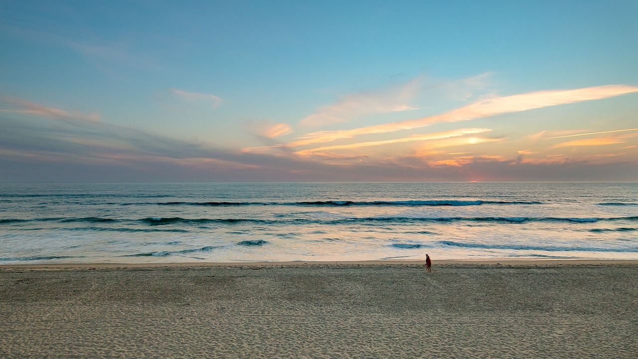 Photo of Others in Central Mission Beach
