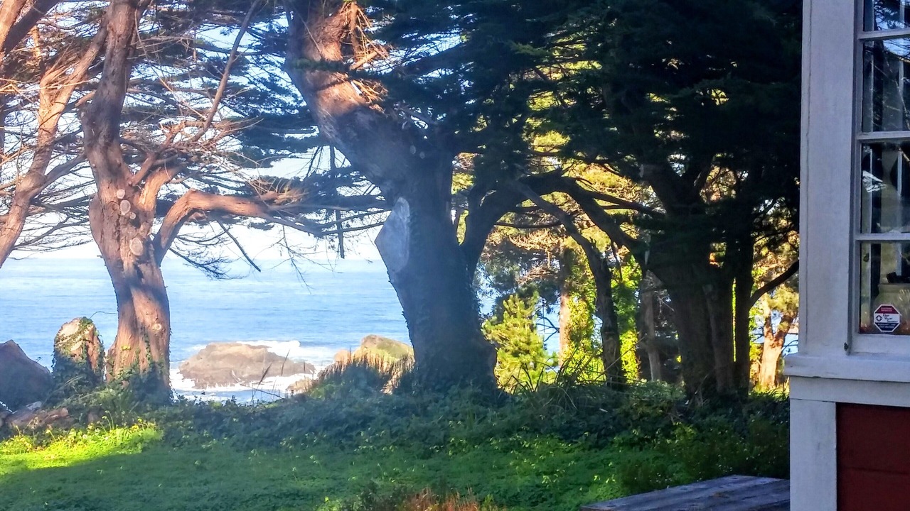 Photo of Others in Mendocino