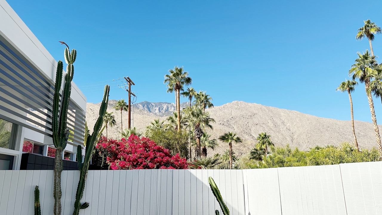 Photo of Others in Twin Palms