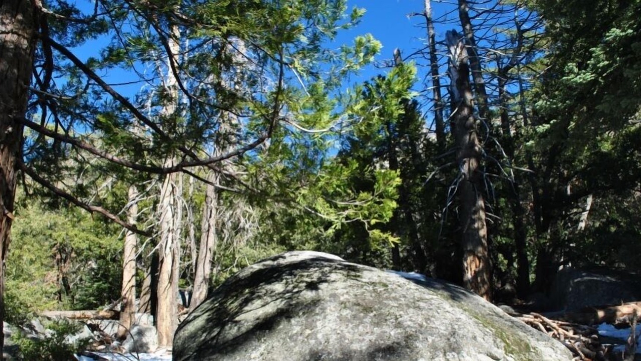 Photo of Outdoor in Fern Valley