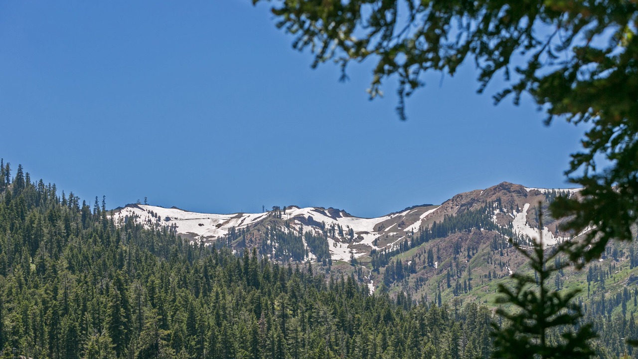 Photo of Outdoor in Alpine Meadows