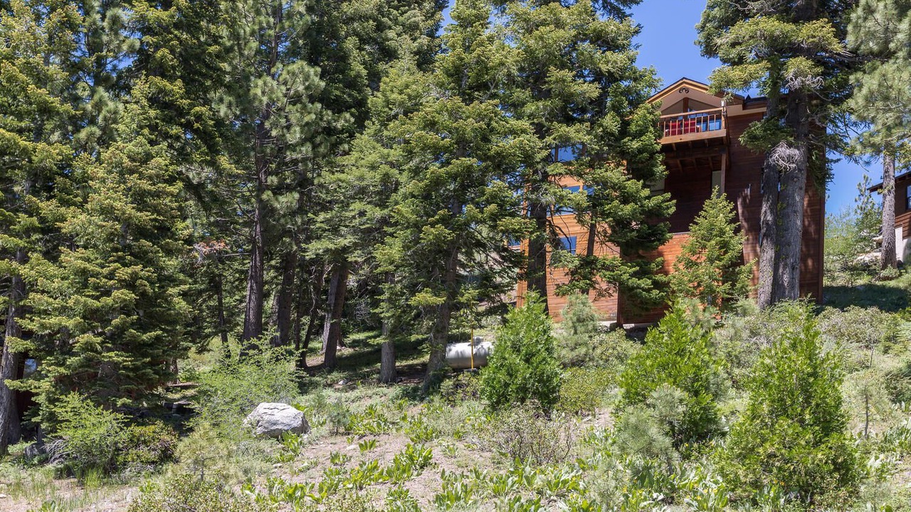 Photo of Outdoor in Alpine Meadows