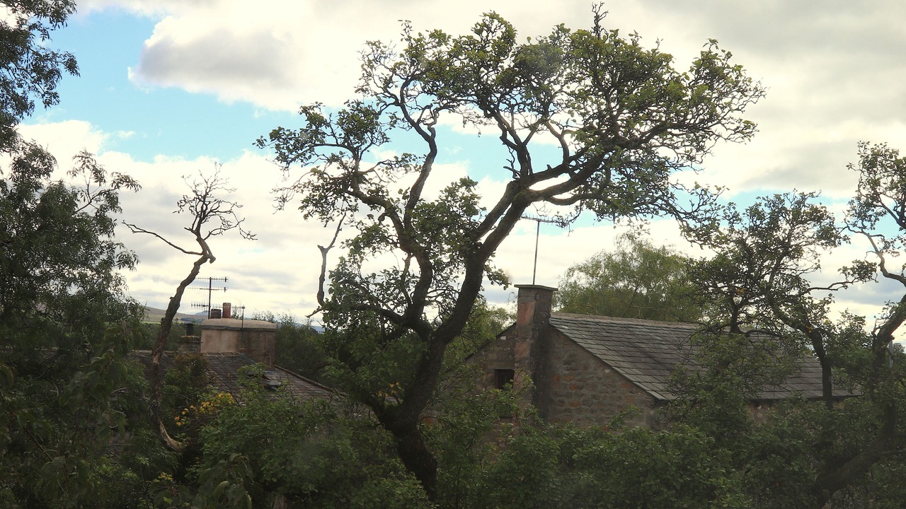 Photo of Others in Kirkby Lonsdale
