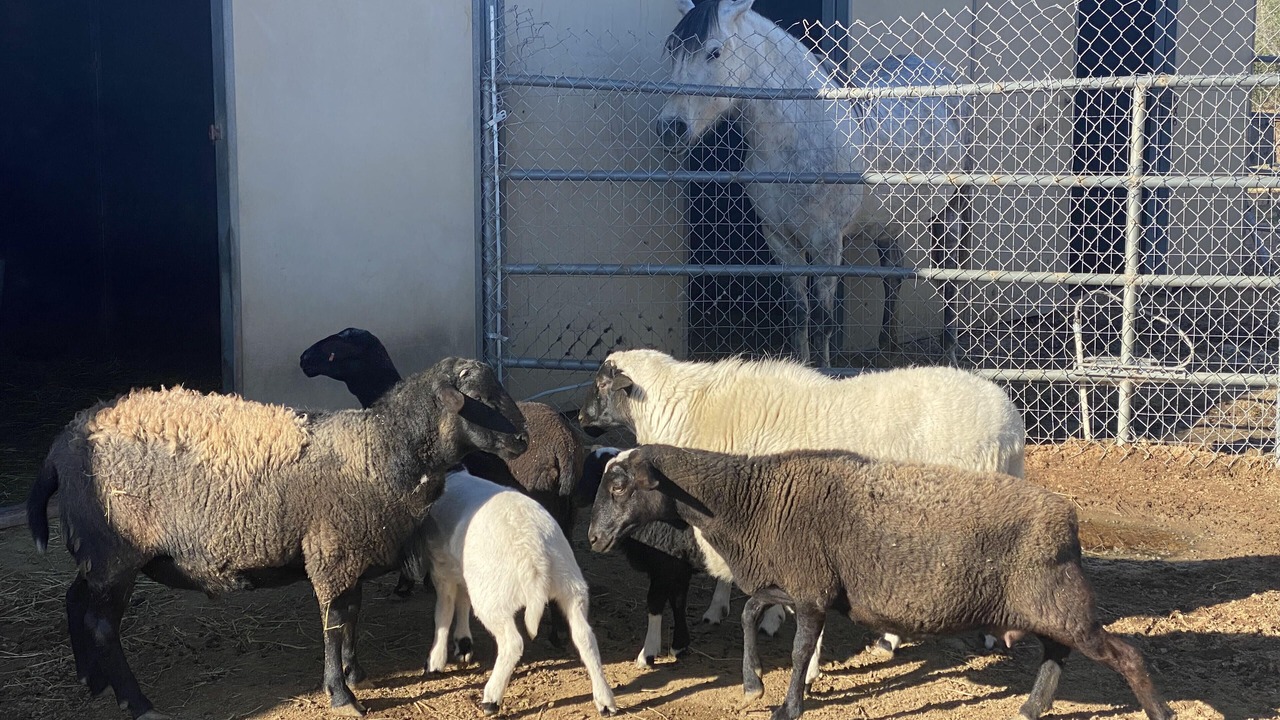 Photo of Others in Temecula