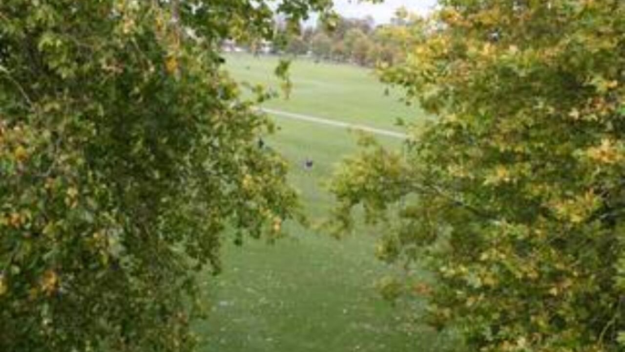 Photo of Others in Cambridge City Centre