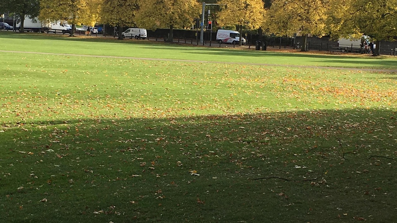 Photo of Others in Cambridge City Centre