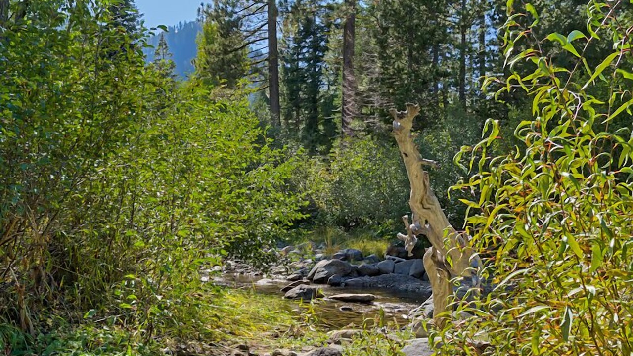 Photo of Outdoor in Alpine Meadows