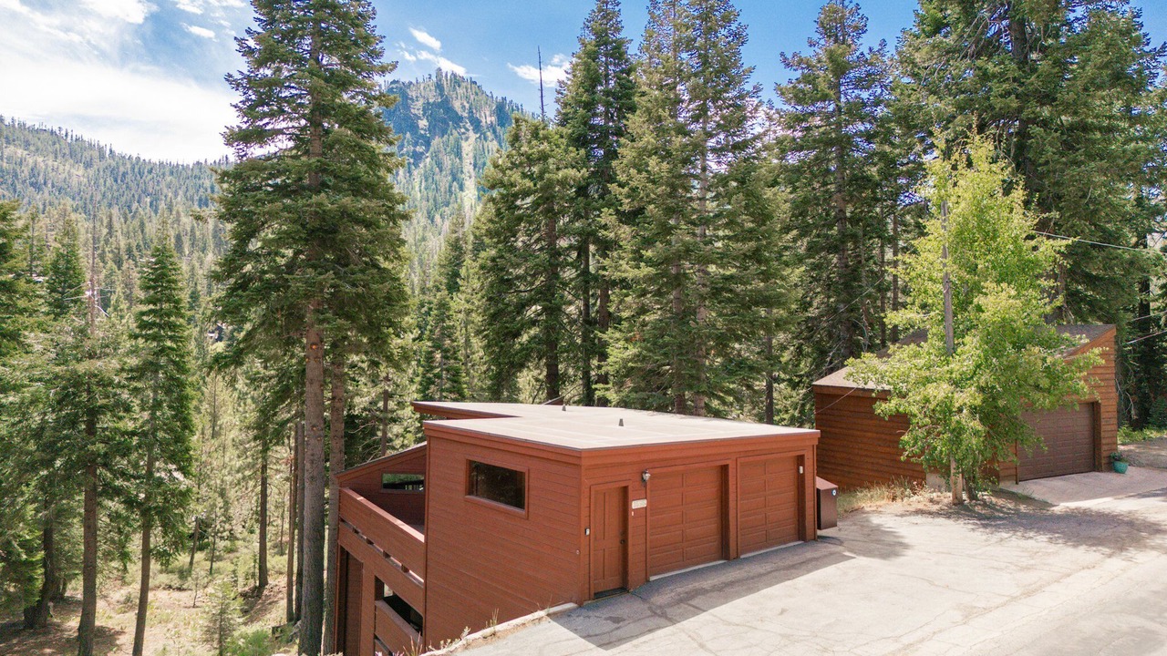 Photo of Others in Alpine Meadows
