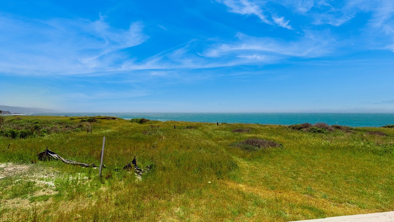 Photo of Others in Sea Ranch
