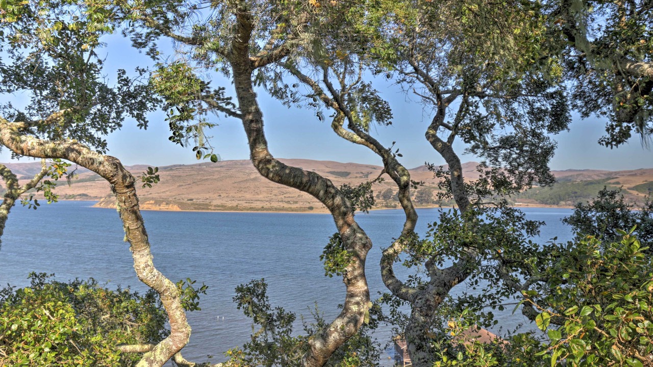 Photo of Others in Inverness