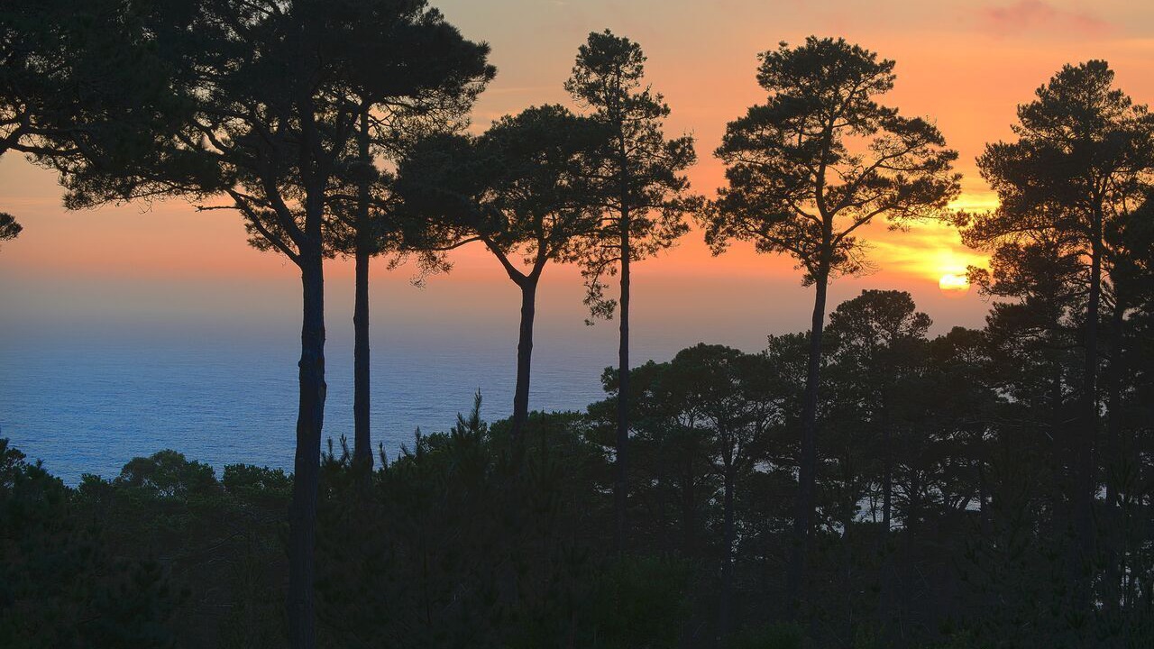 Photo of Others in Carmel Highlands