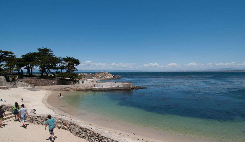 Photo of Others in Pacific Grove